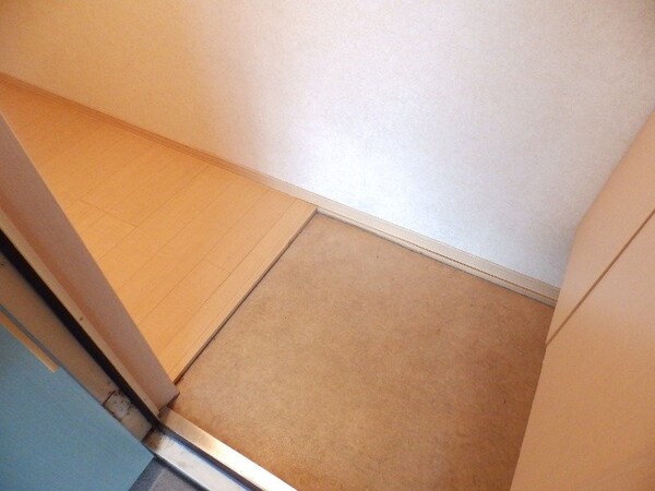 玄関(同物件別部屋写真)