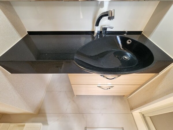 洗面所(同タイプの部屋写真です。)