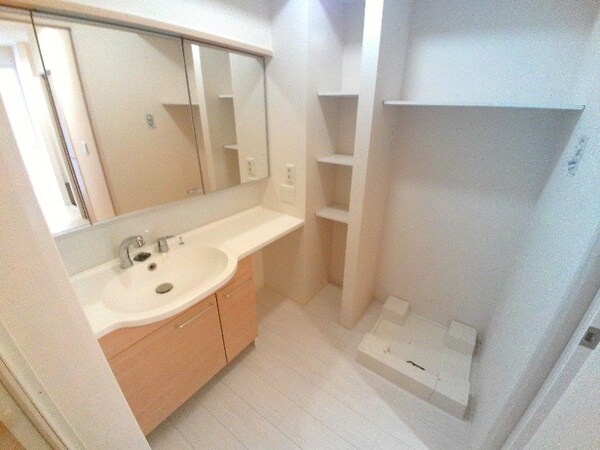 洗面所(同型タイプの画像です)