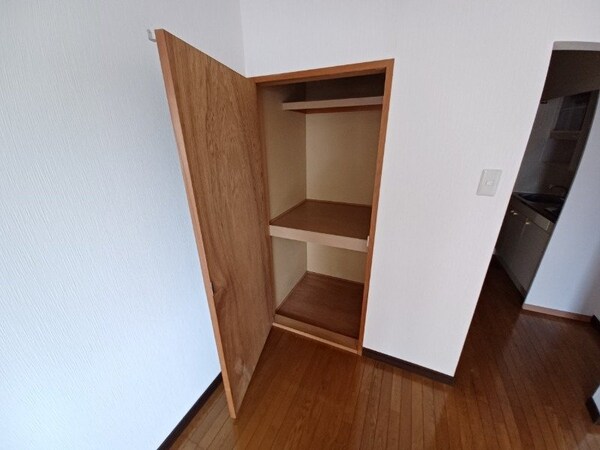 収納(同物件別部屋写真)