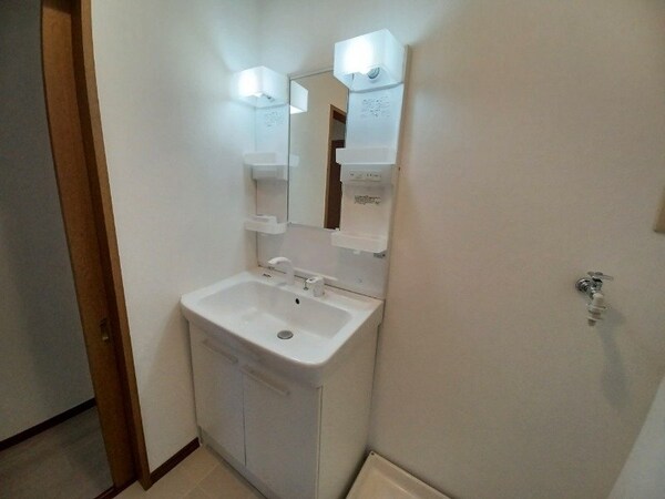 洗面所(同棟別部屋反転タイプの写真です)