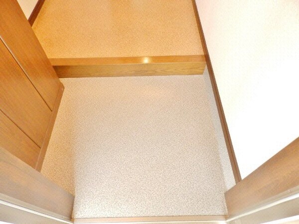 玄関(同物件別部屋写真)