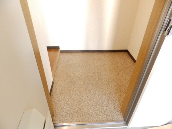 玄関(同建物の別部屋反転写真です)