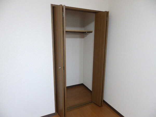 収納(同建物の別部屋写真です)