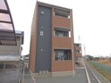 プラシード　キャトル