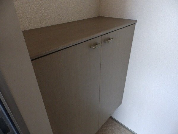 玄関(別部屋写真です)