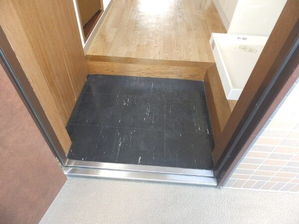 玄関(同棟別部屋の写真です)