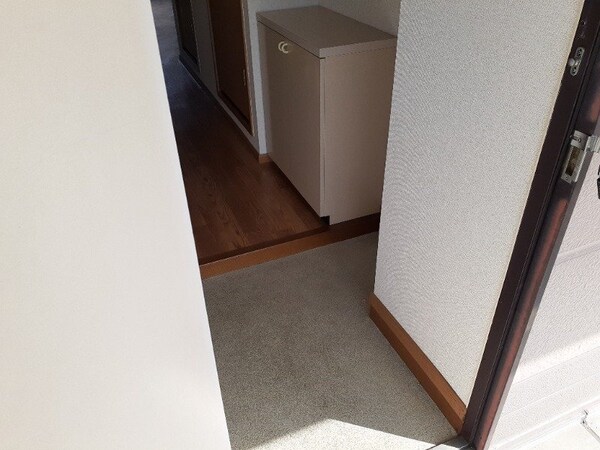 玄関(同タイプ部屋写真です。)