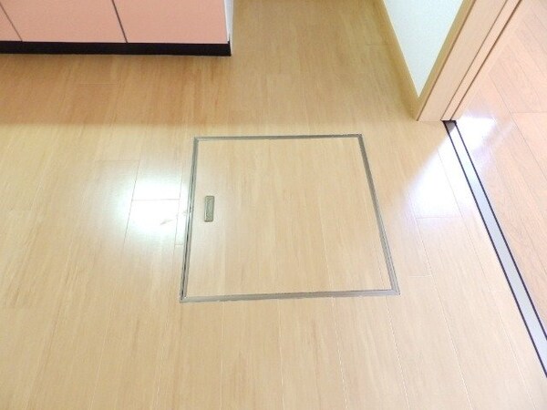 その他(同型タイプの画像です)
