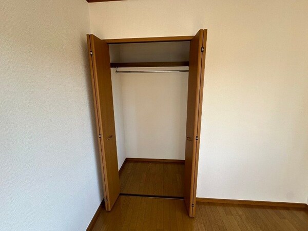 収納(同型タイプの別部屋写真です)