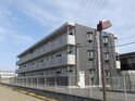 プリマベーラ．