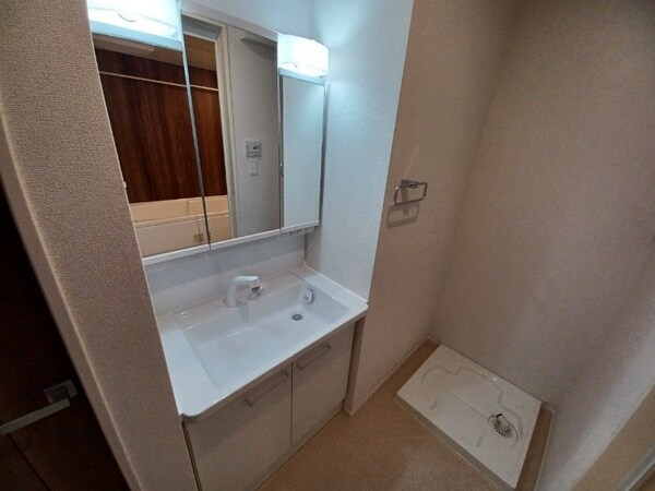 洗面所(同タイプ部屋写真です。)