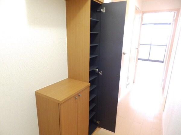 玄関(同物件反転タイプの画像です)