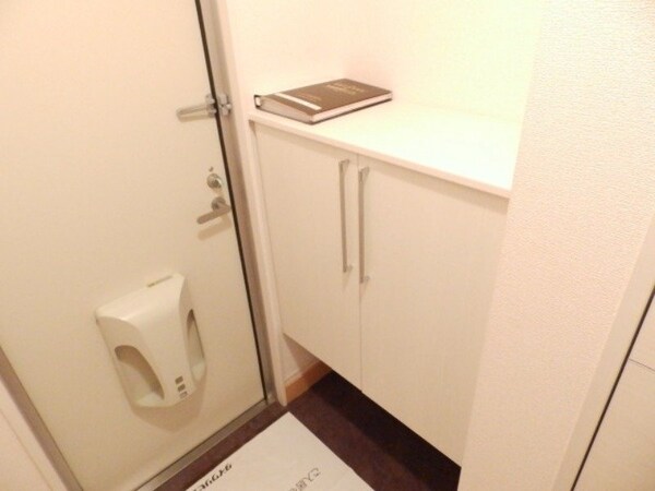玄関(同型参考写真)