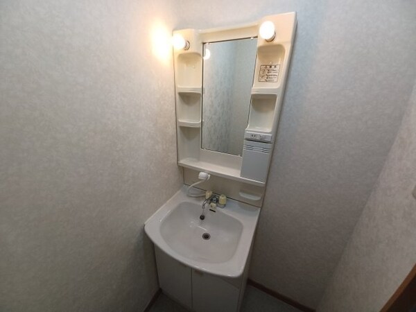 洗面所(同物件別室の画像です)
