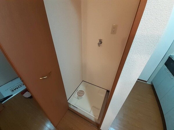 その他(同型反転参考写真)
