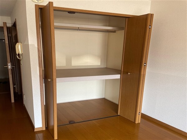 収納(※同物件の違うお部屋の写真となります。)
