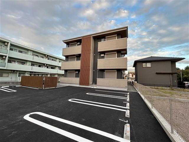 D-Crinum 本田町
