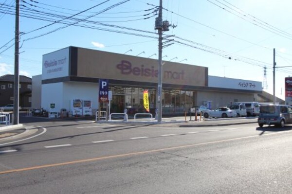 周辺環境(ベイシアマート 足利借宿店 2806m)