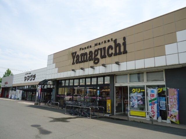 物件外観写真6　(ヤマグチスーパー太田韮川店まで1,689ｍ)