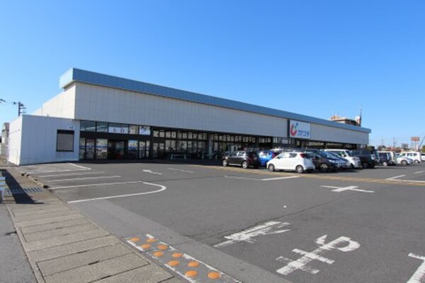 周辺環境(カワチ薬品 足利南店 1307m)