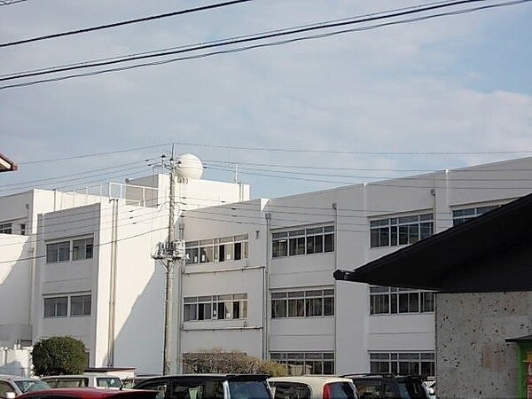 周辺環境(山前小学校まで800m)