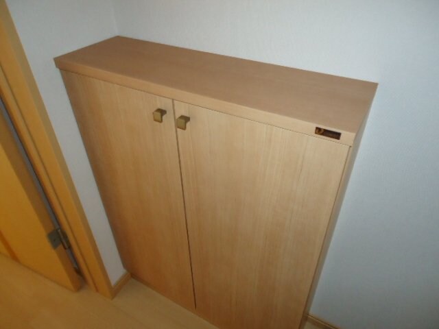 物件内観写真23　(玄関収納)