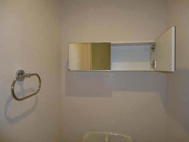 物件内観写真25　(トイレ収納)