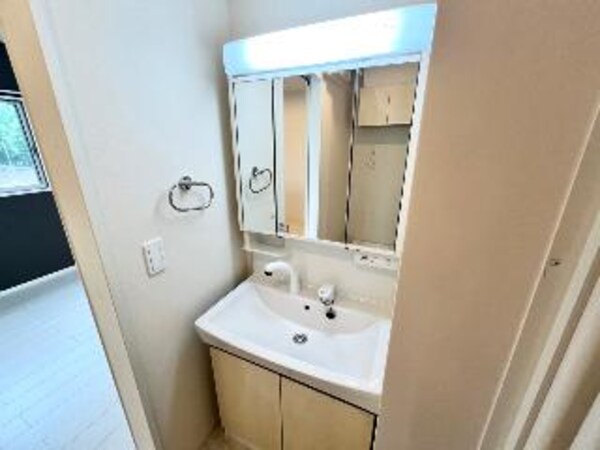 洗面・脱衣所(洗髪洗面化粧台（イメージ）)