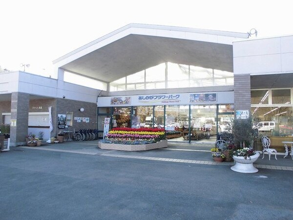 周辺環境(あしかがフラワーパークまで3800m)
