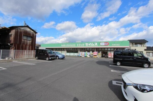 周辺環境(ドラッグセイムス足利中央店 789m)