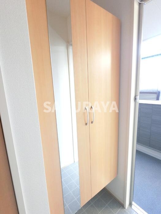 物件内観写真13　(広めのＢoxは収納力ばっちり。トールタイプのミラーついてます)