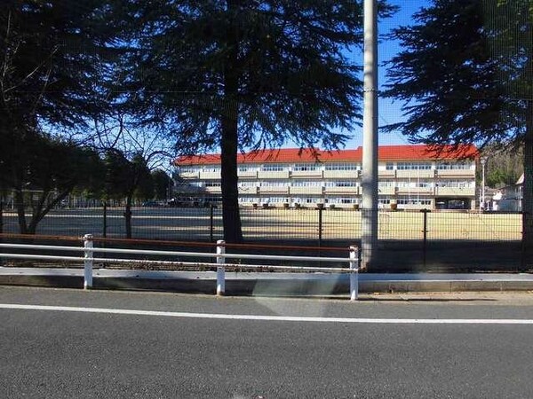 周辺環境(坂西中学校まで1900m)