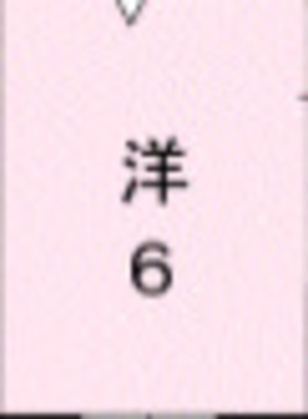 内装他