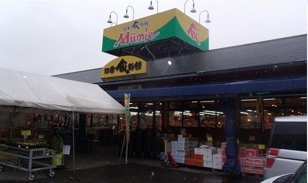 周辺環境(ムーミー川島店さんまで950m)