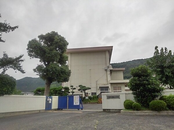 周辺環境(三豊市立桑山小学校まで800m)