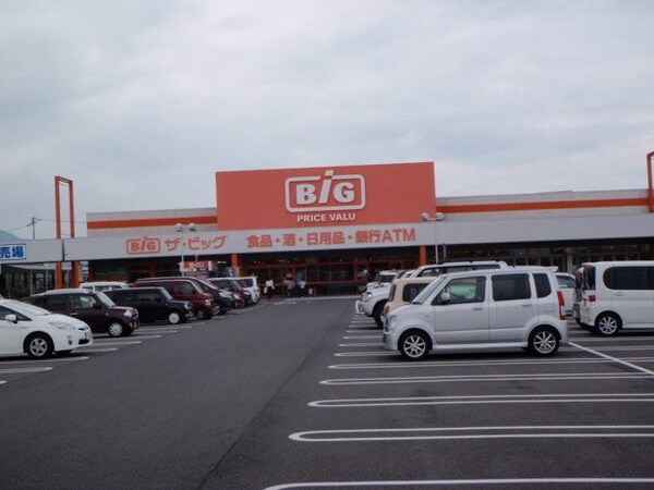 周辺環境(ザ・ビッグ多度津店まで1300m)