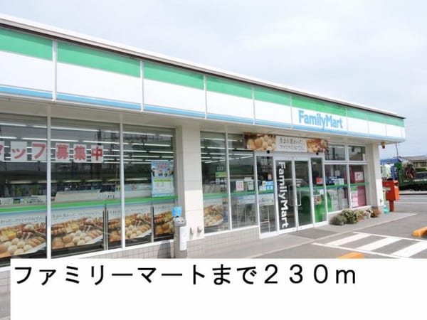 周辺環境(ファミリーマートさんまで230m)