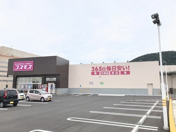 周辺環境(コスモス土器店まで1000m)