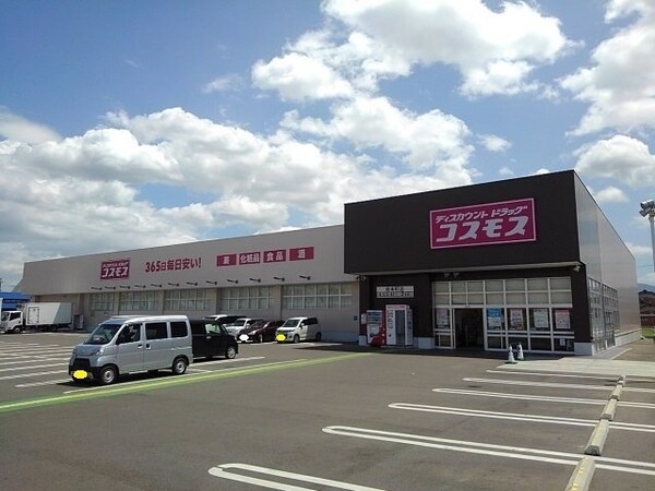 周辺環境(ドラッグコスモス坂本町店まで3700m)