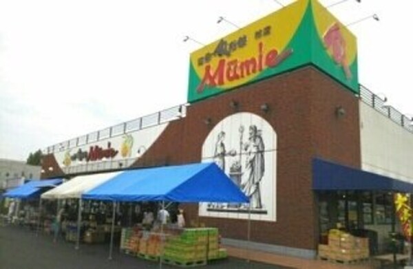 周辺環境(四季食彩館Mumie林店さんまで1320m)