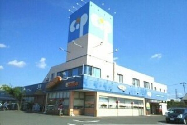 周辺環境(コープ一宮店さんまで950m)