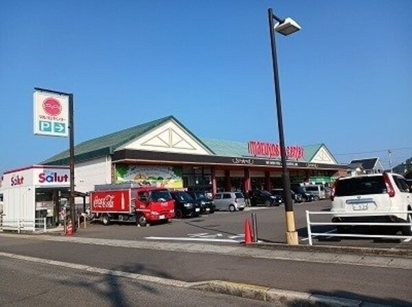 周辺環境(マルヨシセンター国分寺店 さんまで850m)