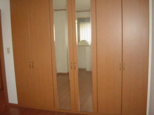 収納(洋室収納)