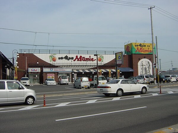 周辺環境(ムーミー（スーパー）まで800ｍ)