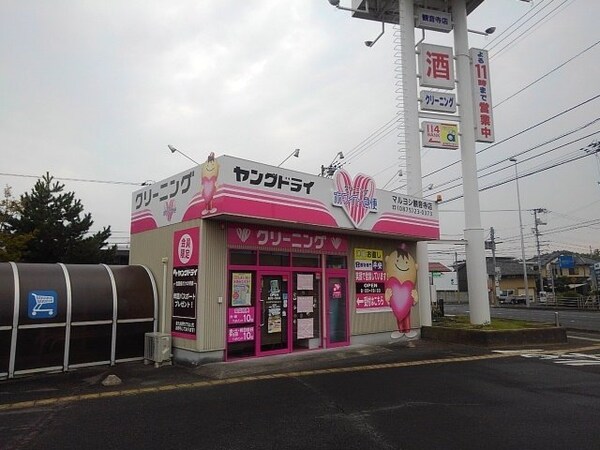 周辺環境(ヤングドライマルヨシ観音寺店まで230m)