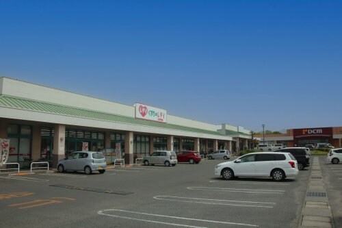 くすりのレデイ 丸亀店