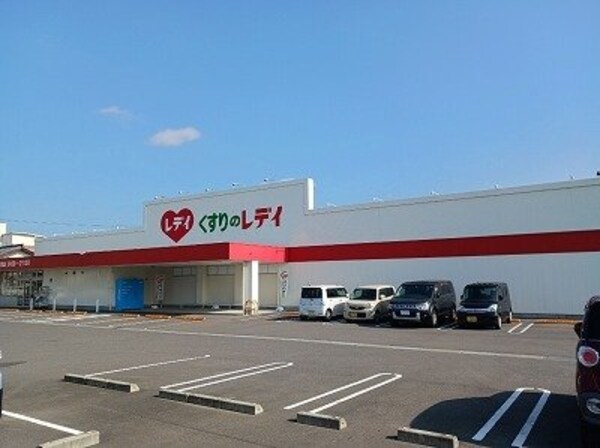 周辺環境(くすりのレディ一宮店さんまで1000m)