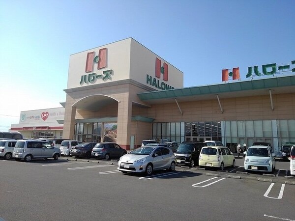 周辺環境(ハローズ丸亀店まで1000m)