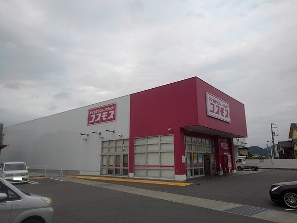 周辺環境(コスモス高瀬店まで2200m)